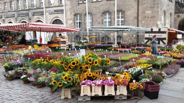 Marktstand mit vielen Blumen und Pflanzen