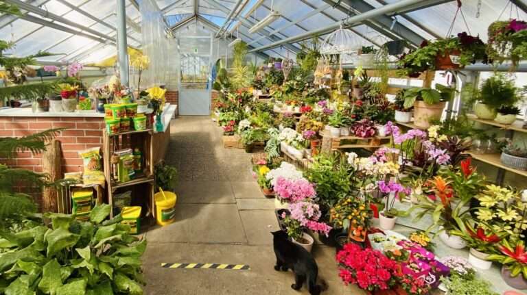 Gärtnerei Pause ein Blick ins Blumengeschäft.