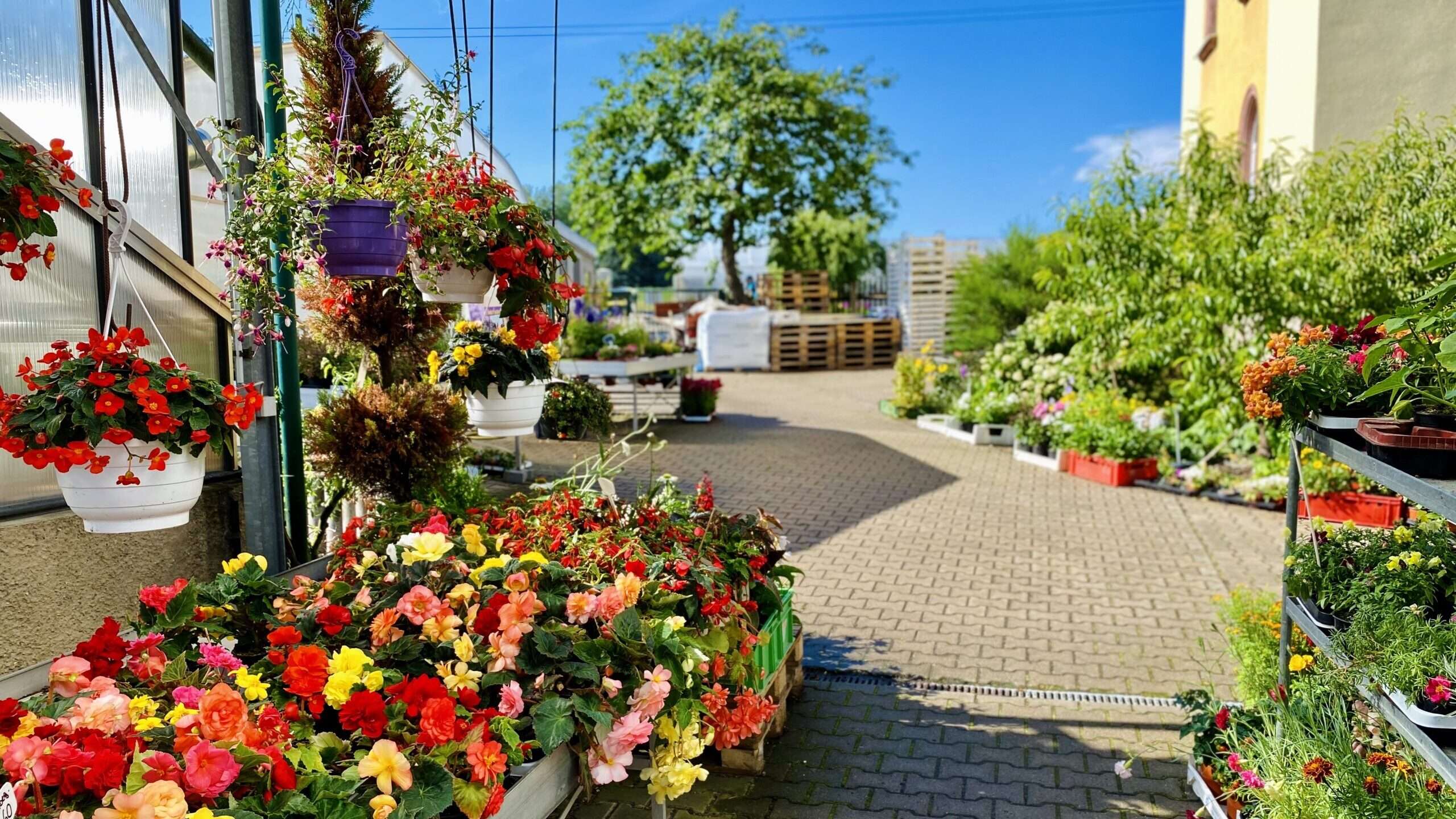 Willkommen auf unserer neuen Webseite! 🌺 Gärtnerei Pause