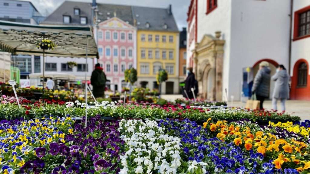 🌷 Frühling auf dem Wochenmarkt