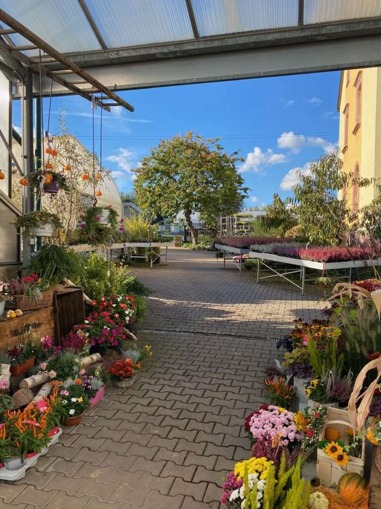 Herbstzauber in der Gärtnerei 🍂