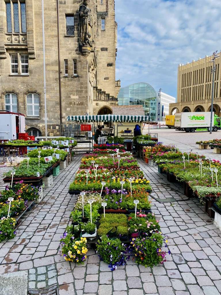 Ein Großaufgebot von Blumen- und Gemüsepflanzen wartet auf euch!